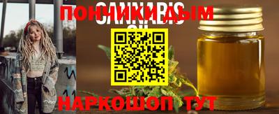 стаф Славгород