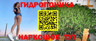 стаф Славгород